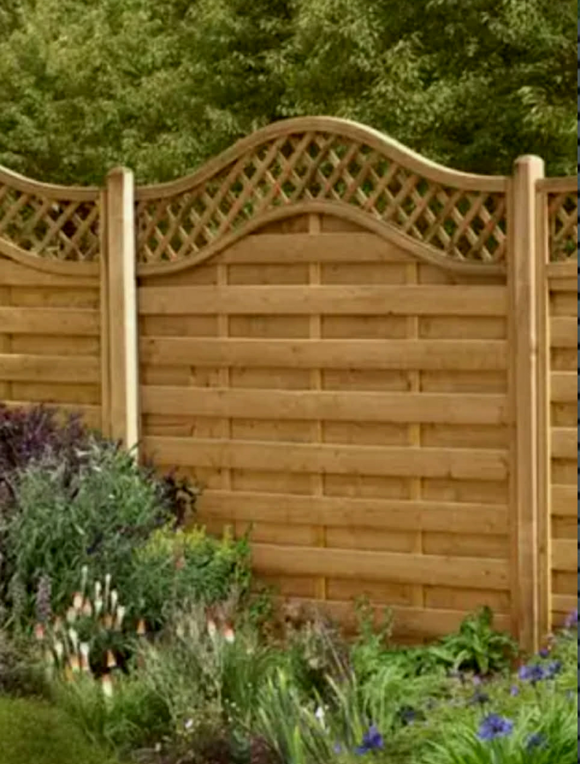 fence3
