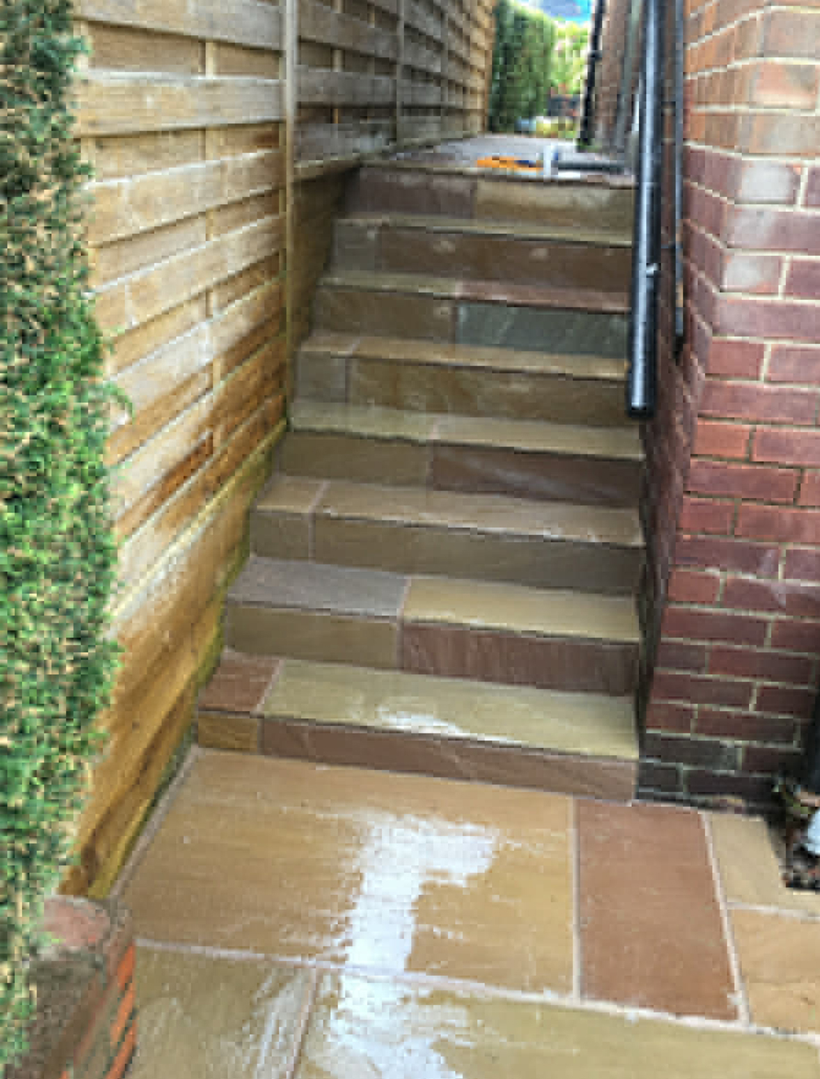 patio1