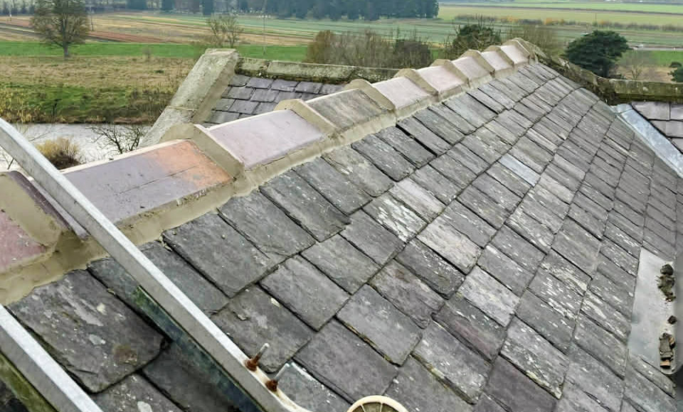 roof