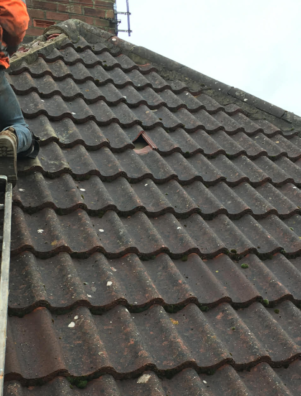 roof5