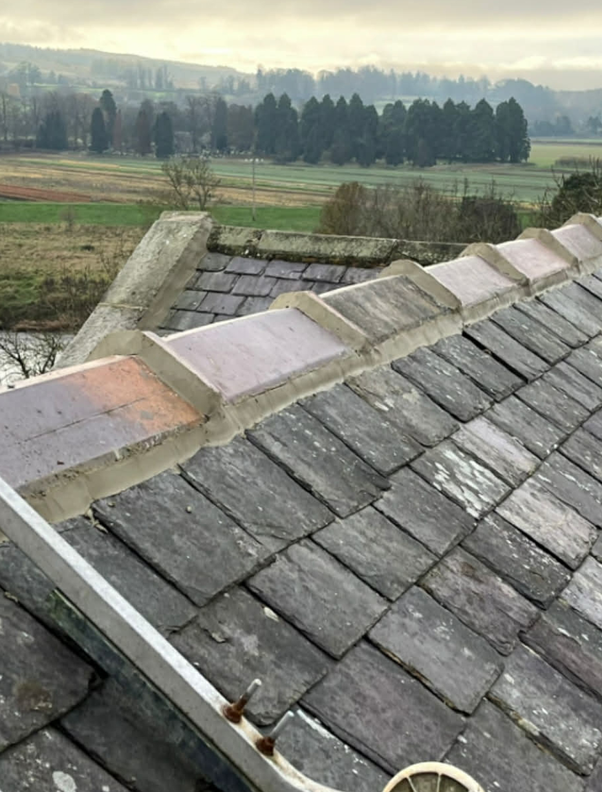 roof6