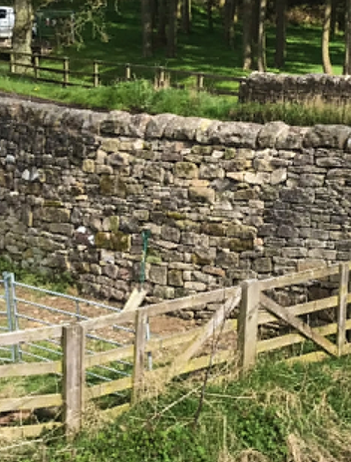 wall4