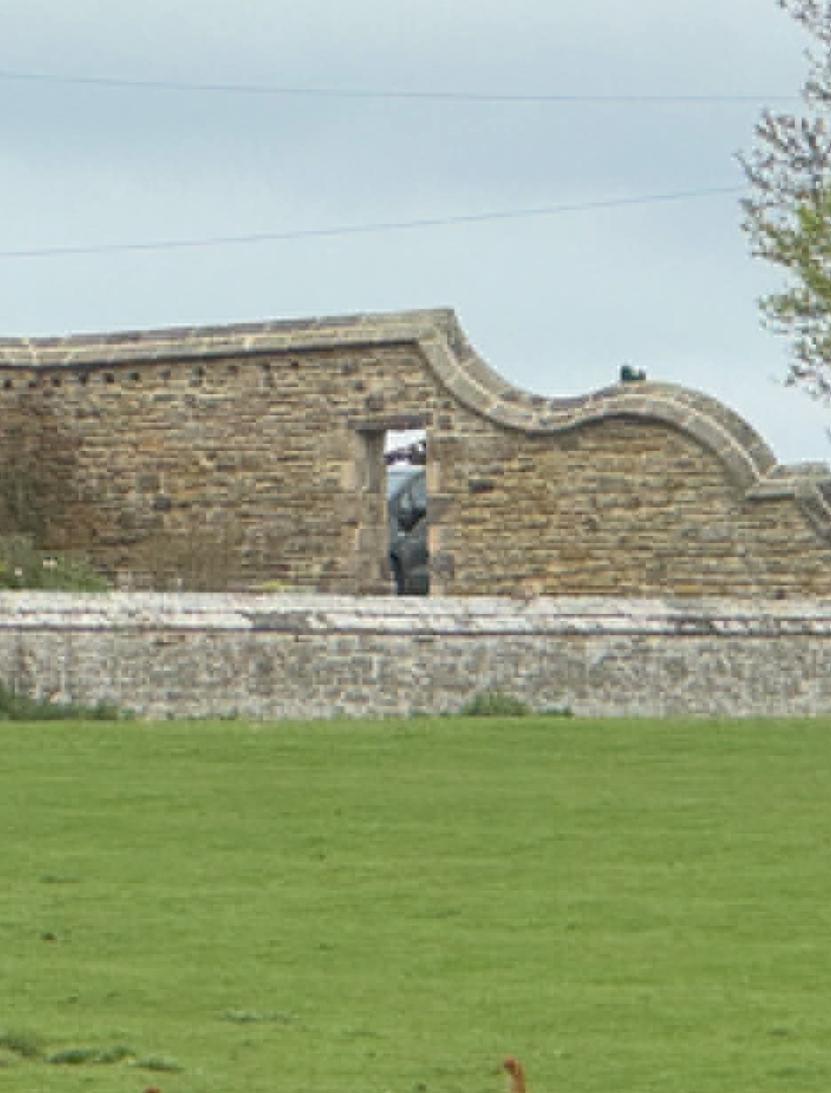 wall8